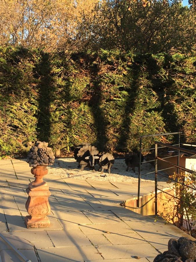 Le Bois De La Cour Villa Roussillon en Isere Exterior foto